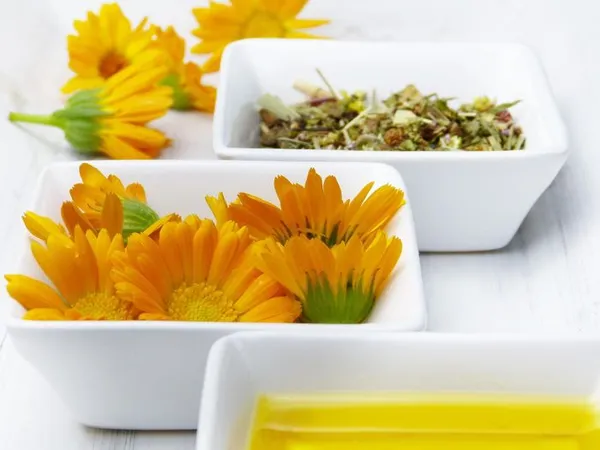 Conférence « le bien-être via la naturopathie »