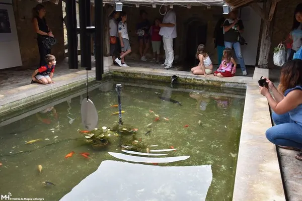Visite du lavoir Sainte-Geneviève