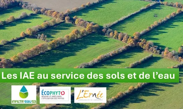 Les Infrastructures agroécologiques (IAE) au service des sols et de l’eau (53)