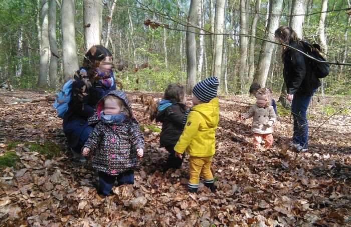 Dernières places | La forêt des tout-petits
