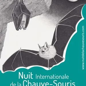 Balade crépusculaire animée