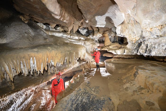 decouverte du monde souterrain