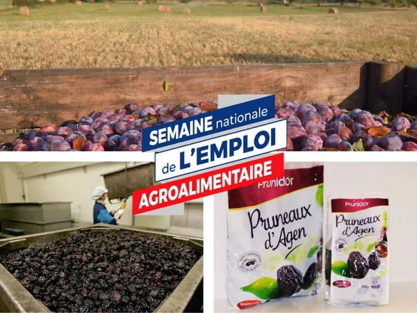 Visite entreprise : Prunidor