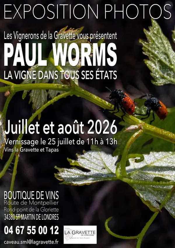 Expo Photos : "La Vigne dans tous ses Etats"