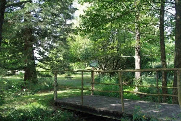 Visite commentée de l'arboretum d'une authentique maison du XVIIème siècle