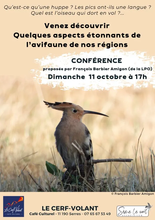 Venez découvrir quelques aspects étonnants de l’avifaune de nos régions !