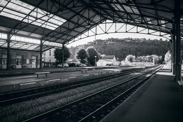 Visite commentée : L’histoire du rail