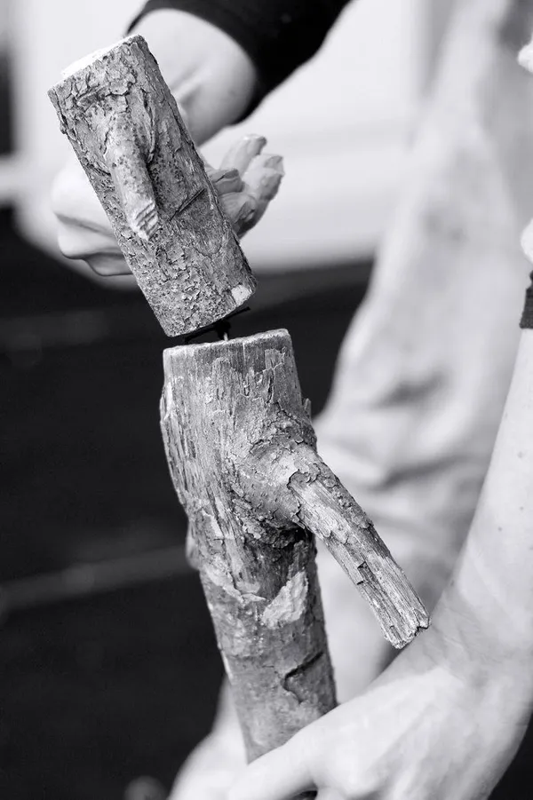 L'homme qui plantait des arbres