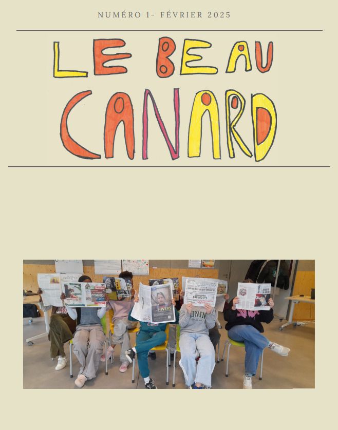 Stage EMI - DRE & conseiller numérique