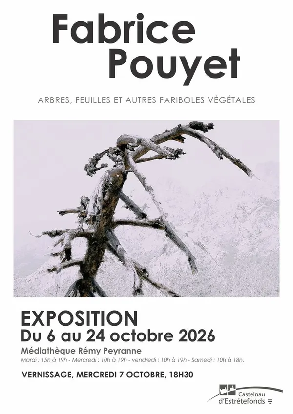 Arbres, feuilles et autres fariboles végétales