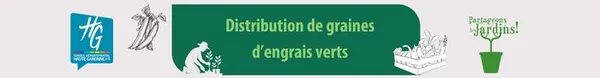 Distribution de graines d'engrais verts