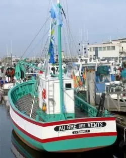 Visite guidée : le sardinier "Au Gré des Vents"