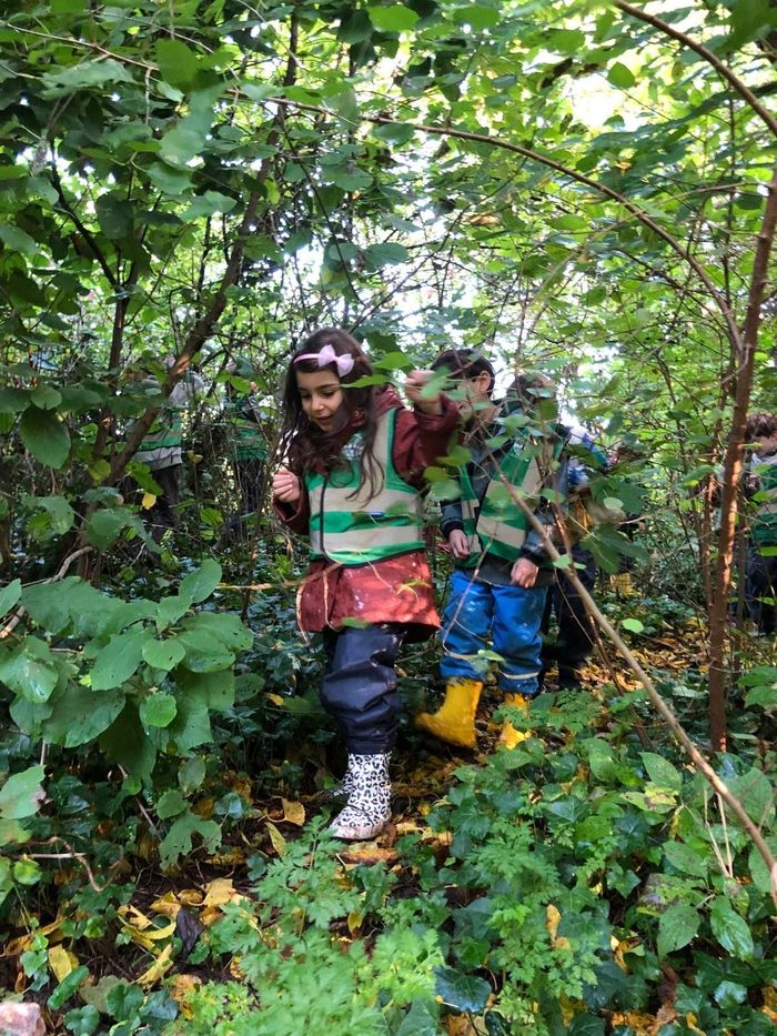 Stage Nature & Montessori, Issy-les-Moulineaux - du 26 au 30/10/26