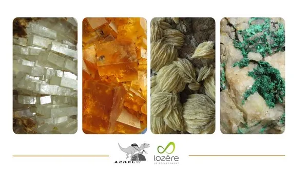 Exposition : Roches, fossiles et minéraux de Lozère