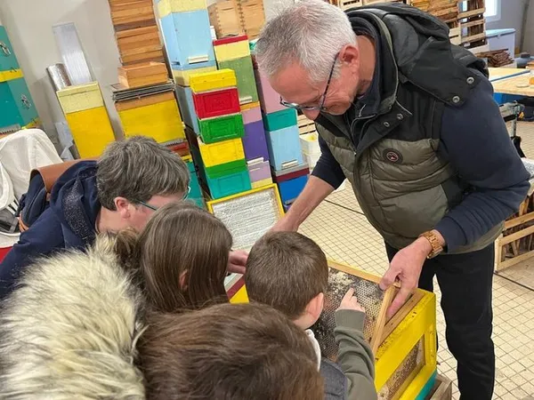 De la ruche à votre table : l’incroyable voyage du miel