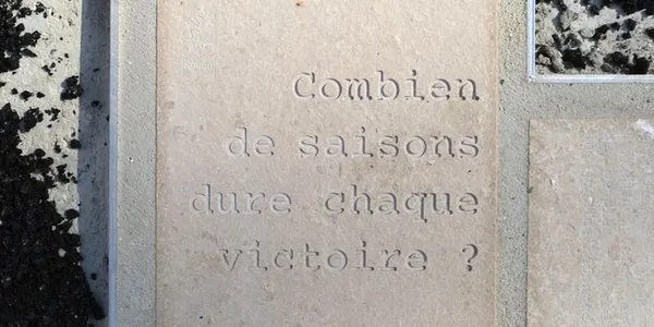 Visites commentées de l’œuvre « Combien de saisons dure chaque victoire ? »