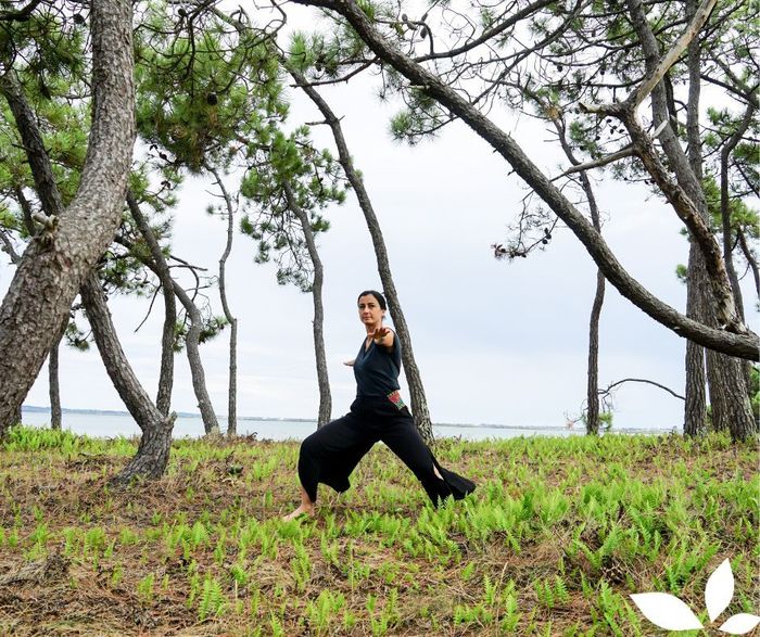 Stage de Qi Gong : Découvrir le Siu Lohan Qi Gong