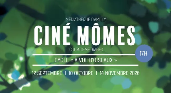 Ciné Mômes à la médiathèque - Courts-métrages Cycle "à vol d'oiseaux"