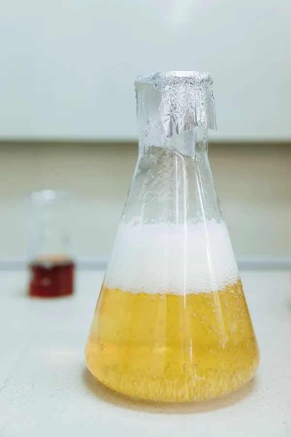 Atelier fête de la science