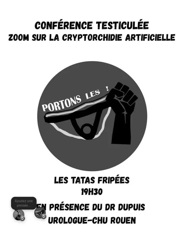 Cryptorchidie artificielle