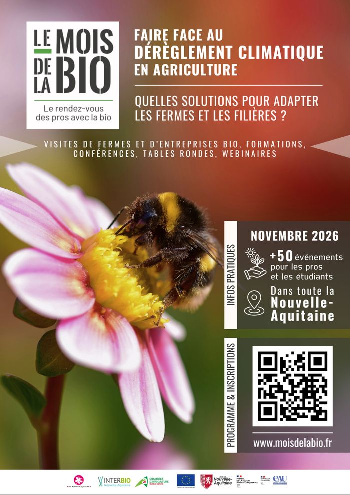 Diversifier ses cultures en bio : plus de biodiversité sans perdre de vue les débouchés