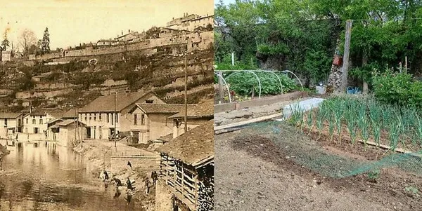 Jardins en péril