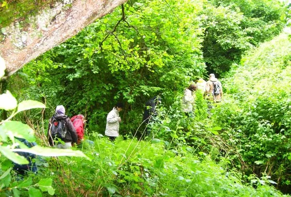 Promenade botanique