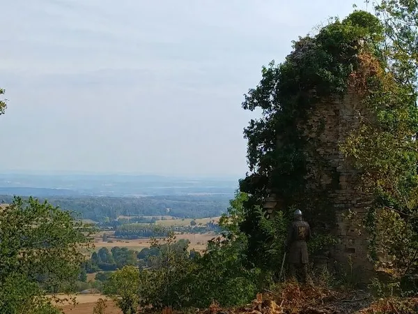 Visite commentée du site des ruines du château médiéval d'Oiselay
