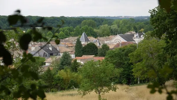 Visite guidée d'une cité surprenante d'histoire et de patrimoine