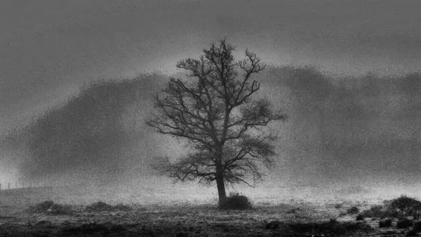 Exposition « Noir et Blanc »