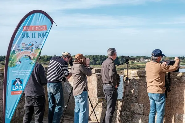 Deux points d'observation en Camargue Gardoise