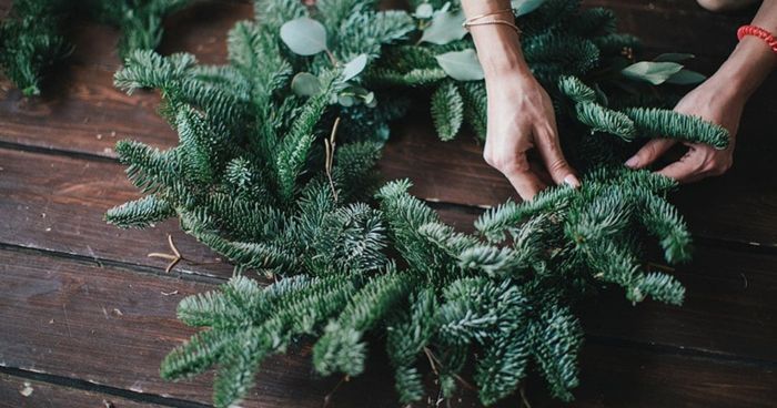Déco végétale spéciale Noël