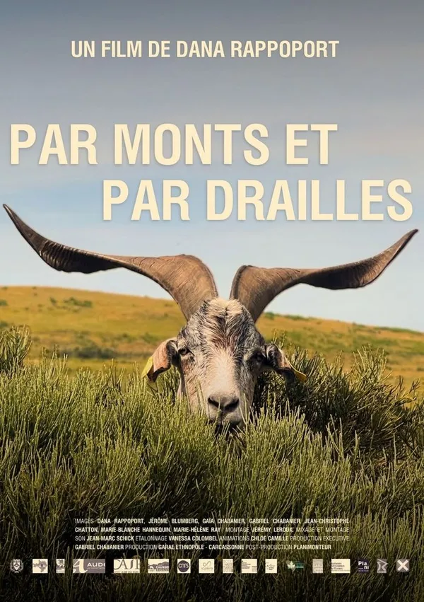 "Par monts et par drailles" : le film