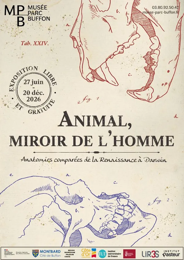Animal, miroir de l'homme, Anatomies comparées de la Renaissance à Darwin