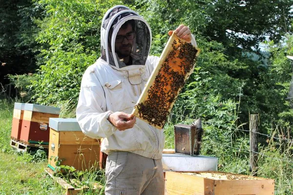 Portes ouvertes à la Miellerie Comté - Miels et Gelée Royale