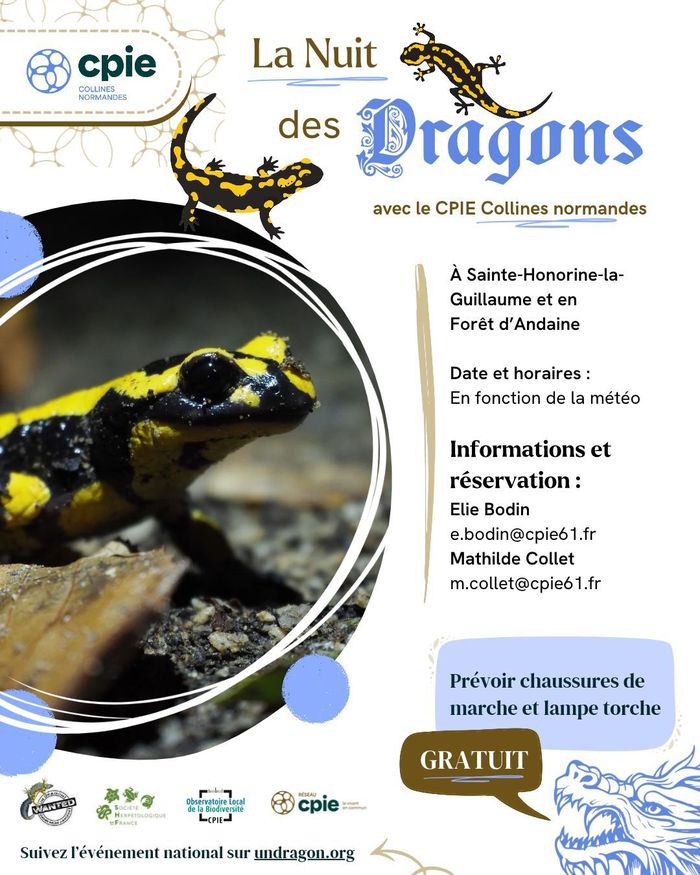 La nuit des dragons