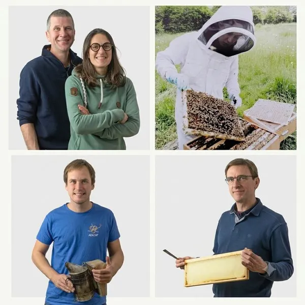 Saveurs apicoles des Hauts-de-France