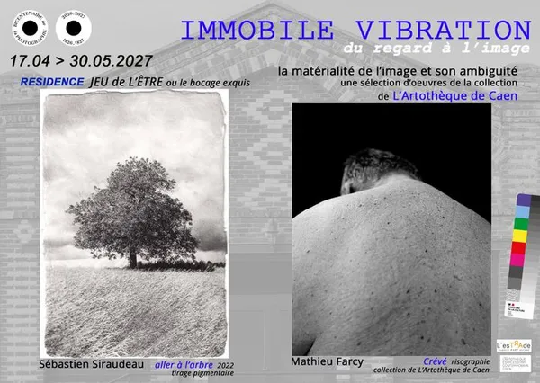 IMMOBILE VIBRATION
« Du Regard à l’Image » Fin de résidence/Exposition Sébastien Siraudeau et L'Artothèque de Caen