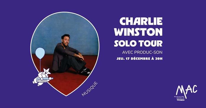 Charlie Winston - Solo Tour