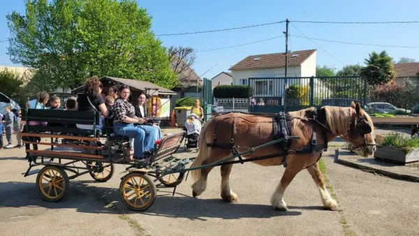 Visite guidée en calèche