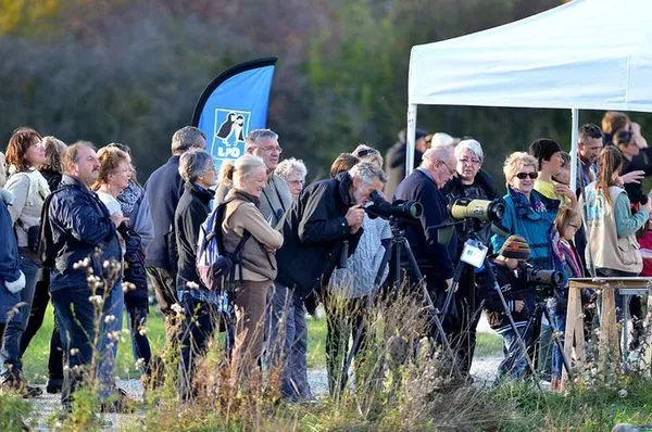 Week-end de la migration 2026 sur le site de Chantecoq (Marne)