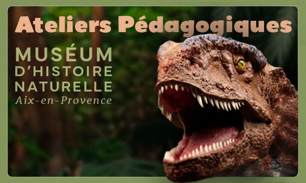 Programme des ateliers pédagogiquesdu Muséum d’Histoire Naturelle d'Aix-en-Provence - Toussaint 2026
