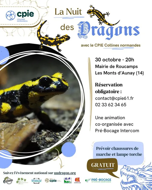 Nuit des dragons