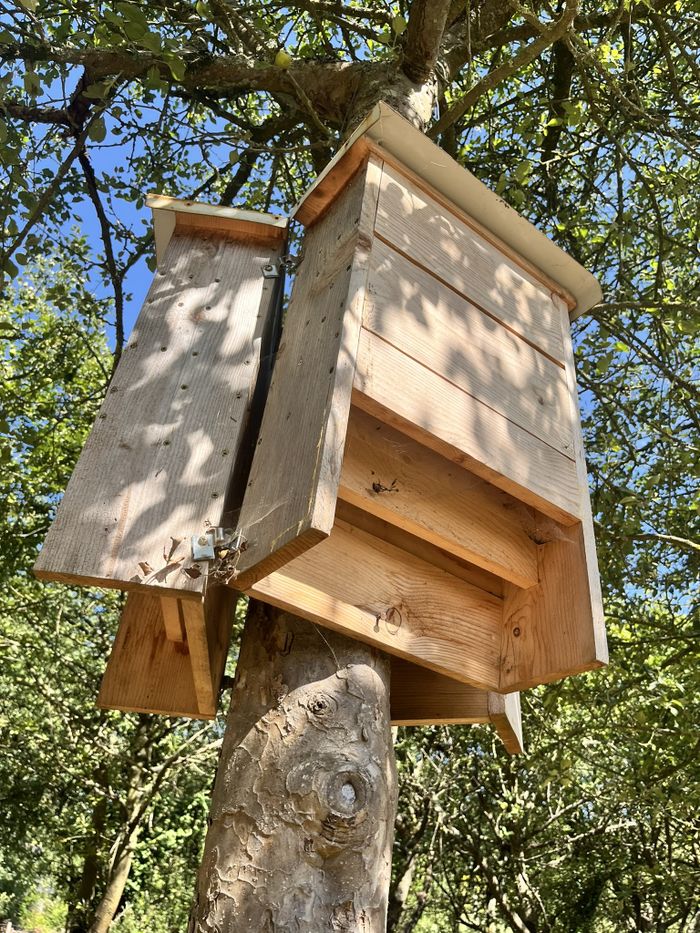 UN CHANTIER DE NICHOIRS A CHAUVE SOURIS
