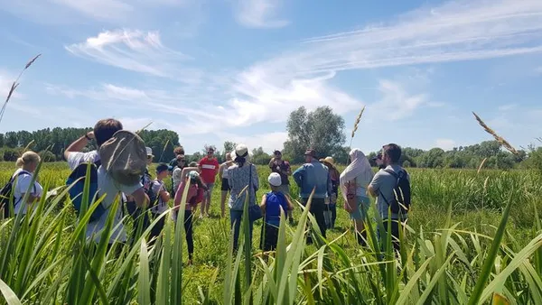ANNULÉ | Les plantes oubliées du Marais du Trait
