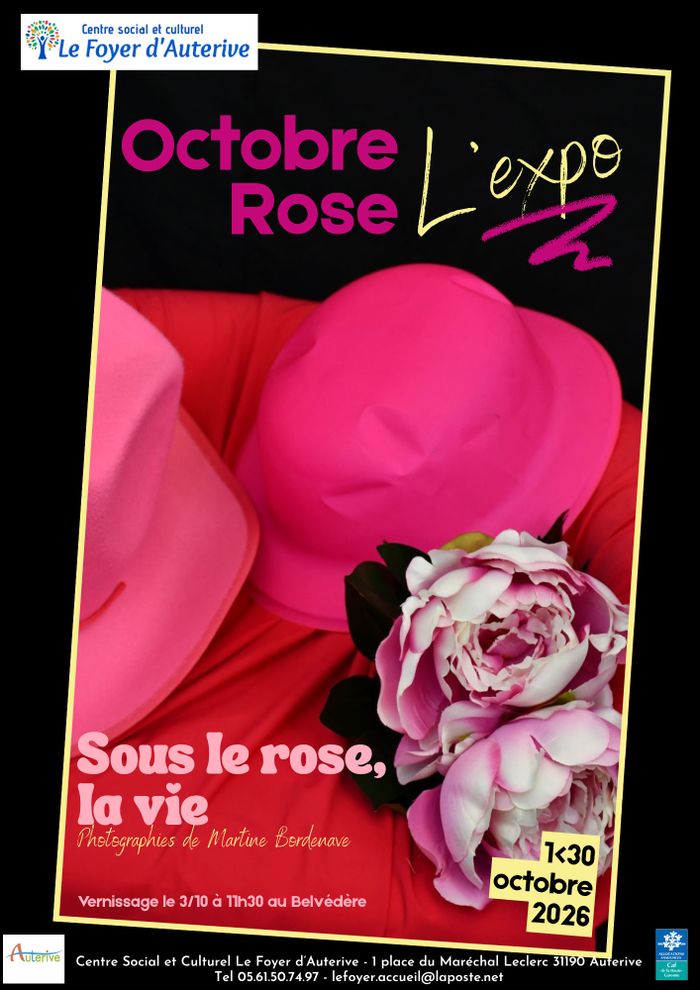 Exposition / Centre Social et Culturel le Foyer d'Auterive
