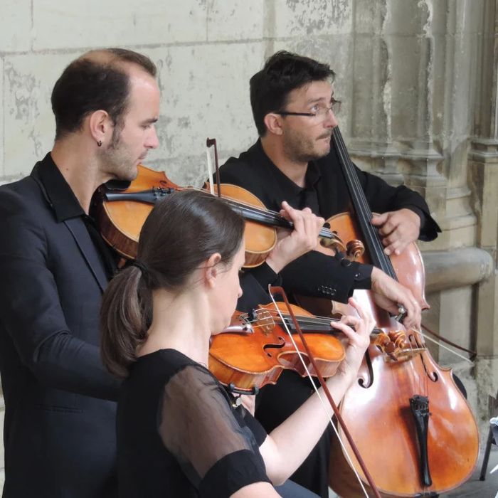 Festival 37° à l'ombre