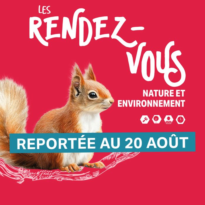 Balade nocturne