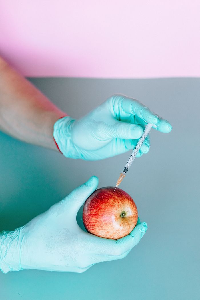 ALIMENTATION EN SANTÉ : IMPORTS ET IMPACTS DE L’ALIMENTATION NUTRITIONNELLE
