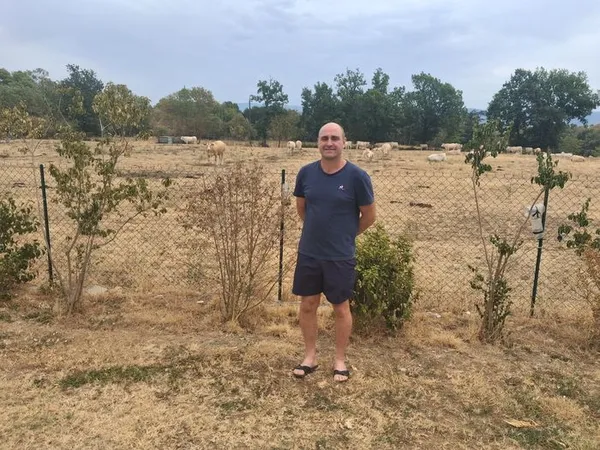 INNOV'ACTION : Prolonger la durée de vie de vos prairies grâce au sur-semis